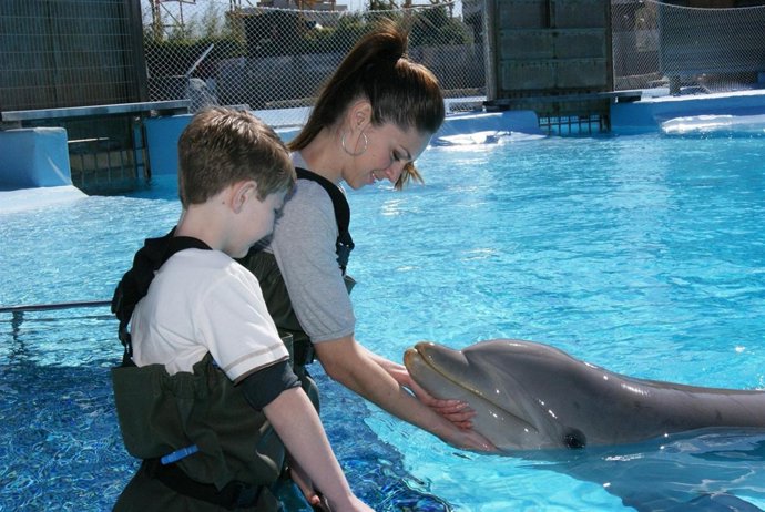 Encuentro Con Delfines En Selwo Marina