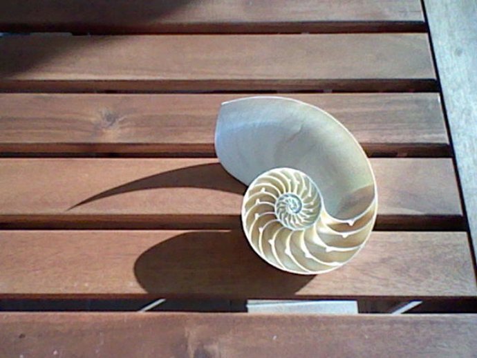 Fotografía De La Exposición De Nintendo