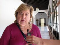 Aguilera avisa de que "si hay que ir a los tribunales, irá" para defender los intereses de Andalucía