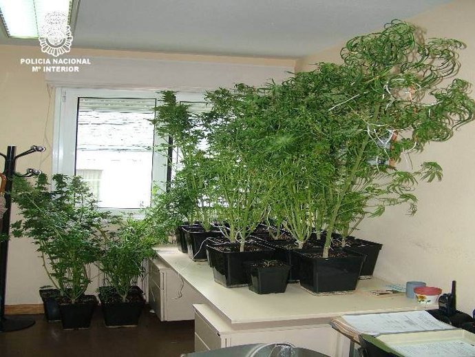 NOTA DE PRENSA DE LA COMISARIA DE CNP DE LUGO