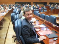 Gómez propone aumentar a dos los plenos semanales