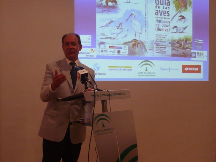 Presentación De Una Guía De Aves En Marismas Del Odiel