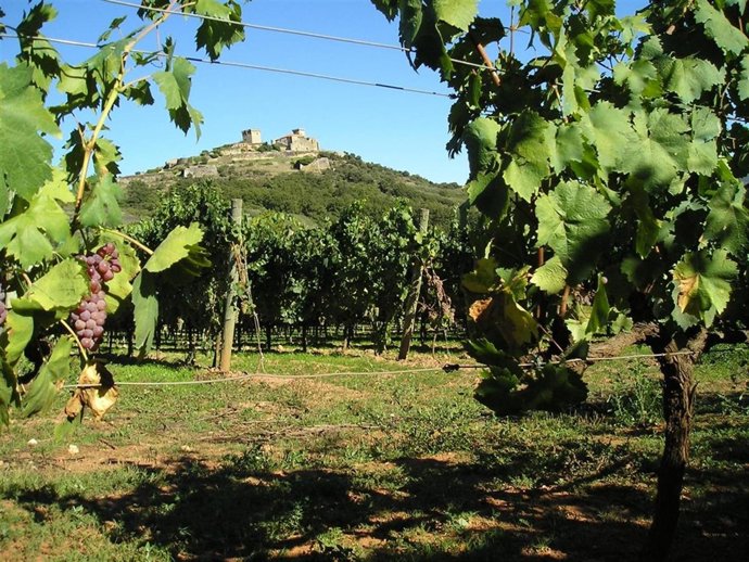 Denominación De Origen Monterrei