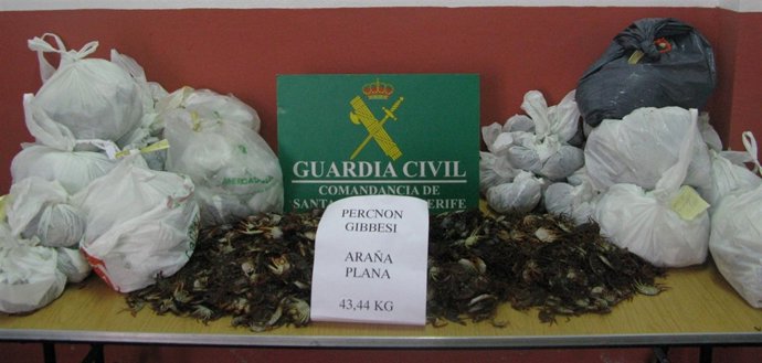 Guardia Civil (Oficina De Comunicación)