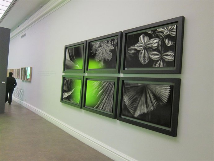 Exposición Botánica