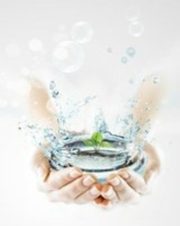 Proyecto Hidranatura