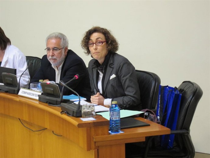 Cristina Ortiz En La Comisión 5ª.