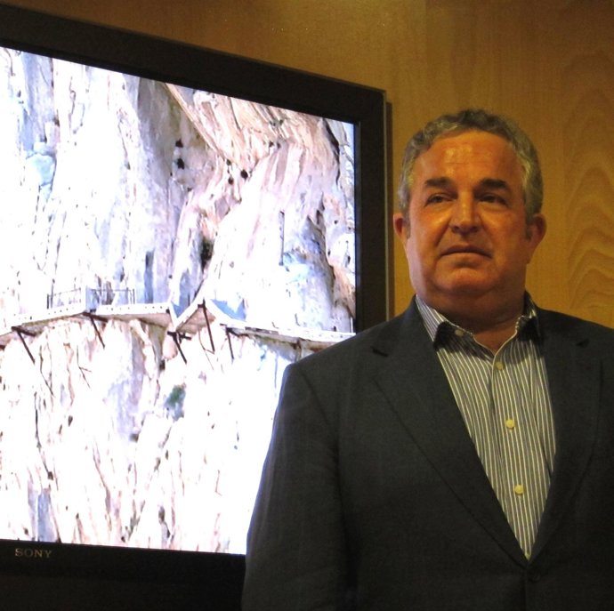 El Presidente En Funciones De La Diputación De Málaga, Salvador Pendón