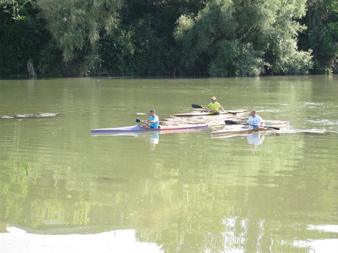 Piragüistas En El Ebro