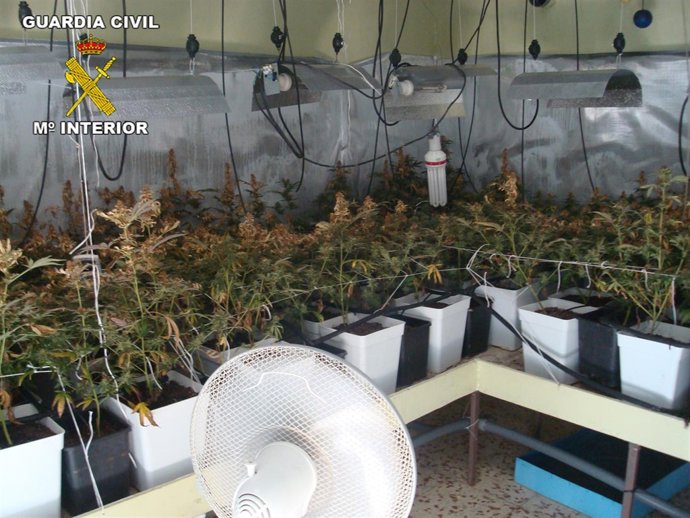 Invernadero De La Carlota