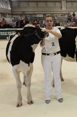 Mención De Honor Concurso Jóvenes Manejadores