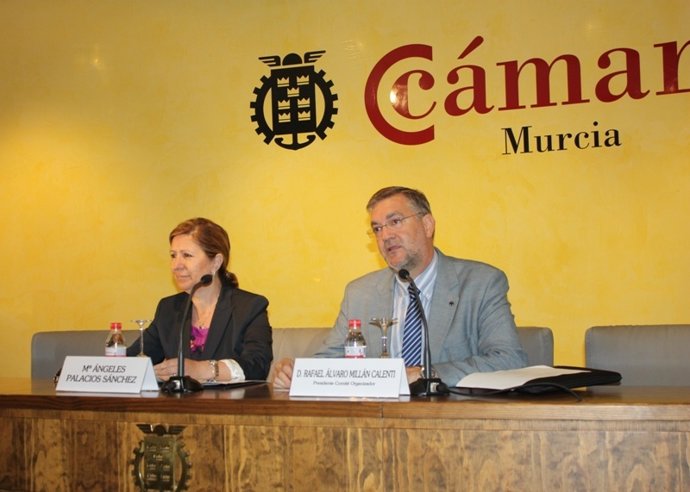 Palacios Y Álvaro Millán