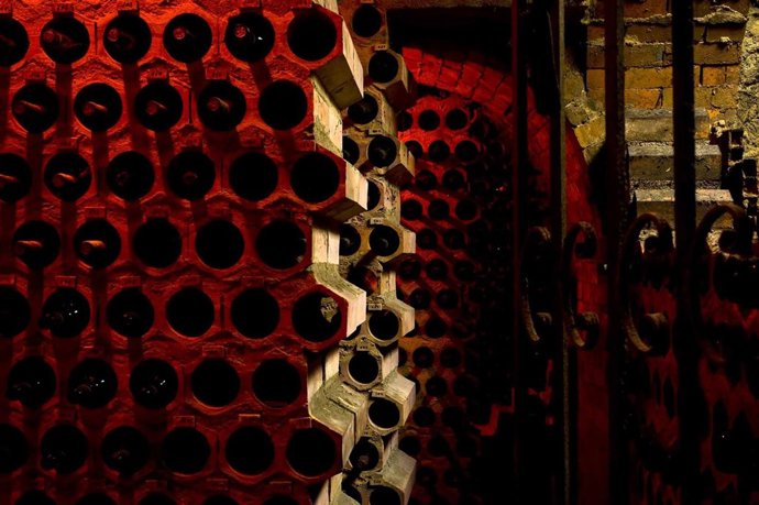 Bodega de Ribera del Duero