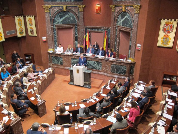 La Asamblea Regional Durante El Debate De Investidura