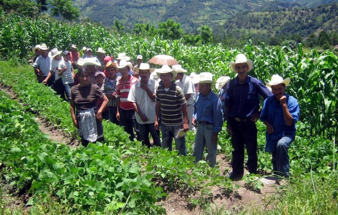 La Iniciativa Se Desarrolla En San Sebastián, En Honduras