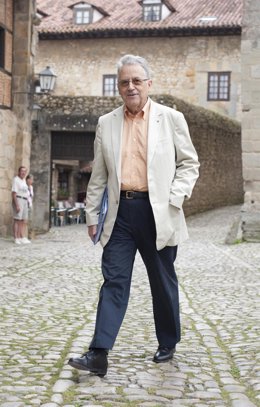 Santos Juliá, Historiador