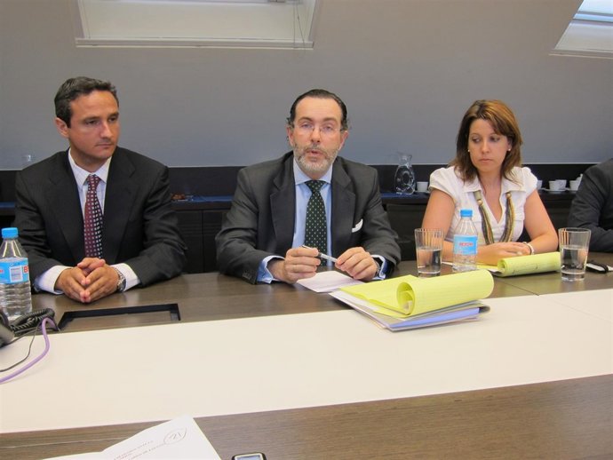 Presidente De NEM Ezentis Y Socios De Cremades &Calvo Sotelo