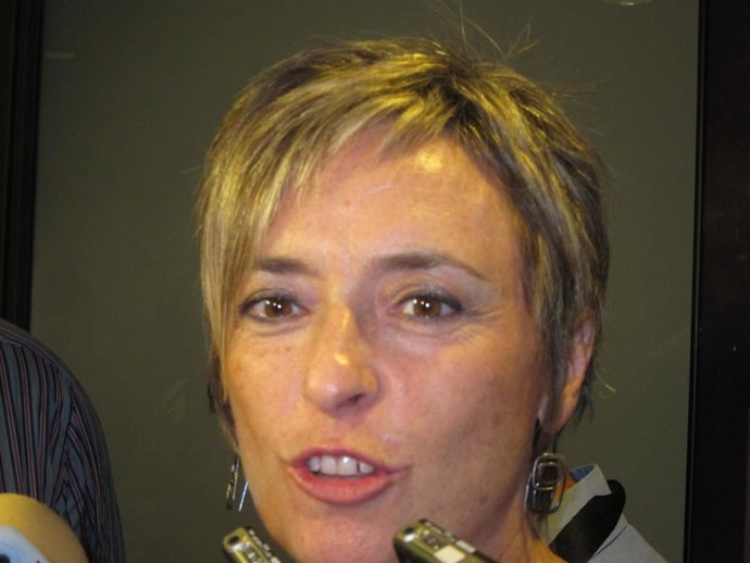 Nieves Ibeas, Portavoz De CHA En Las Cortes