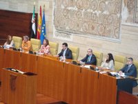 Manzano garantiza que "todos los órganos" de la Asamblea se compondrán "por consenso"