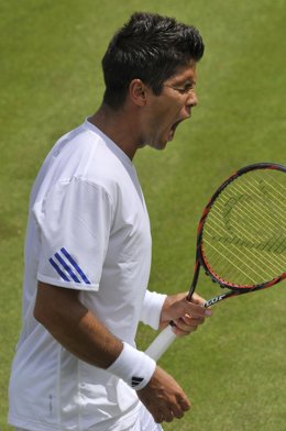 Fernando Verdasco 