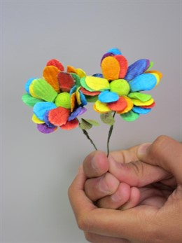 Flor De La Campaña 'Te Quiero, Me Quieres' Del Orgullo Gay