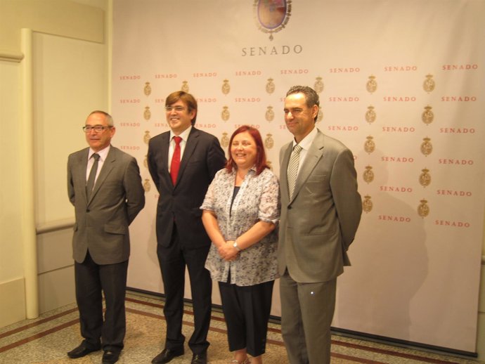 Francesc Antich Senado