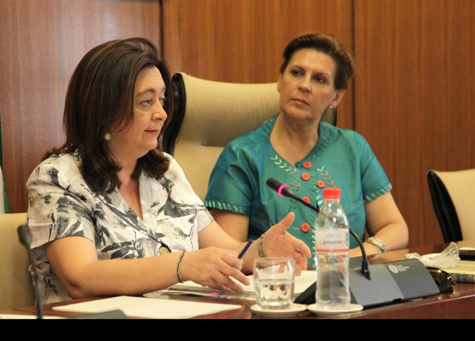 Mar Moreno, Este Miércoles En El Parlamento