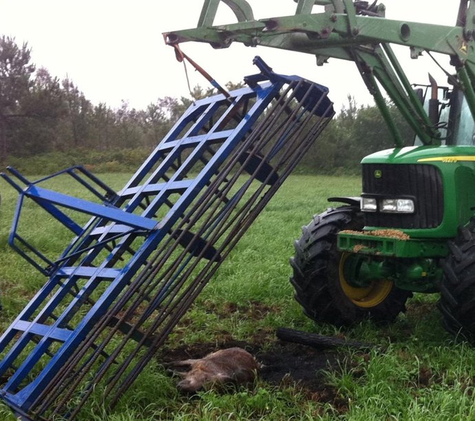 TRAMPAS JABALIES GC A Coruña