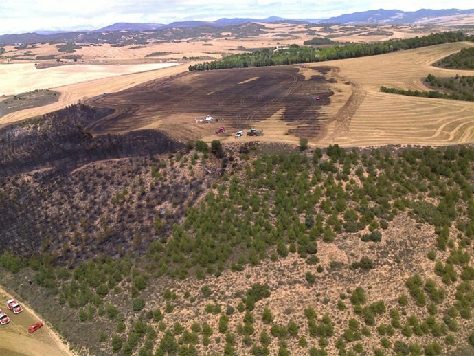 Incendio En Mendigorría Que Ha Calcinado Seis Hectáreas De Terreno.
