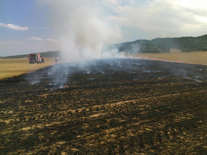 Incendio Entre Los Arcos Y Sesma Que Ha Calcinado Unas 20 Hectáreas.