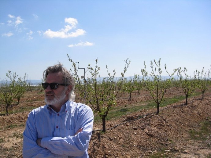 El Delegado De Agricultura De Almería, Juan Deus, En Un Campo De Ciruelos 