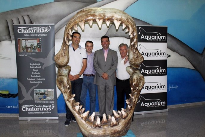 Inauguración De La Mandíbula A Escala Real Del Aquarium