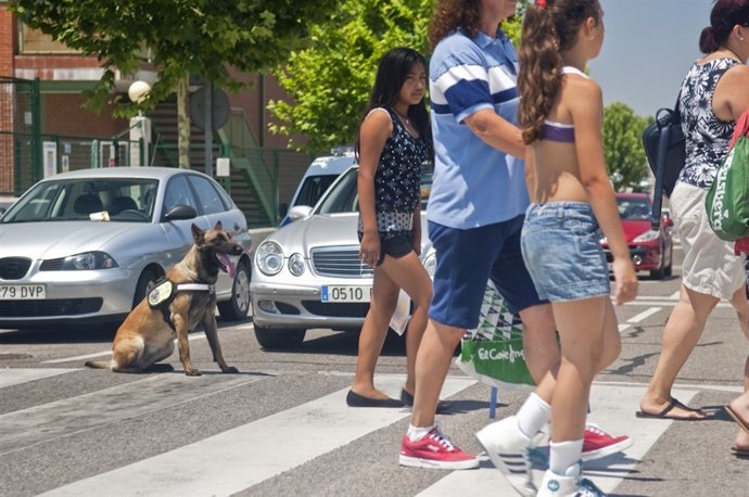 Tana Ayuda A Regular Los Pasos De Peatones De Rivas