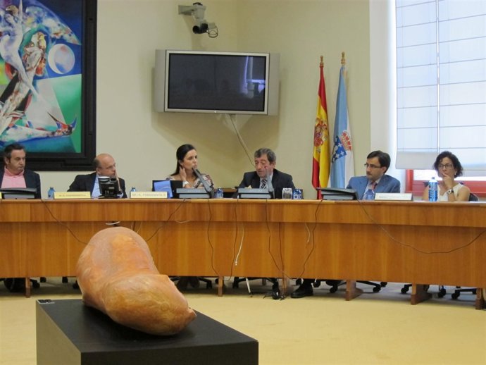 El Valedor Do Pobo Y La Presidenta Del Parlamento Gallego En La Comisión 