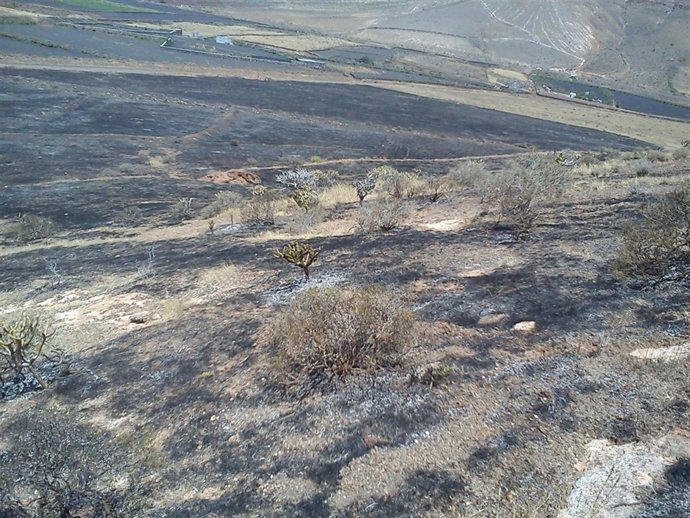 Incendio En Yaiza