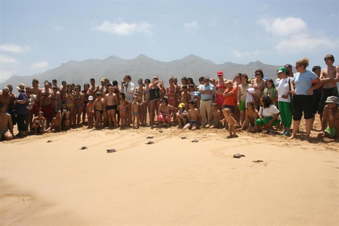 Suelta De Tortugas En Fuerteventura