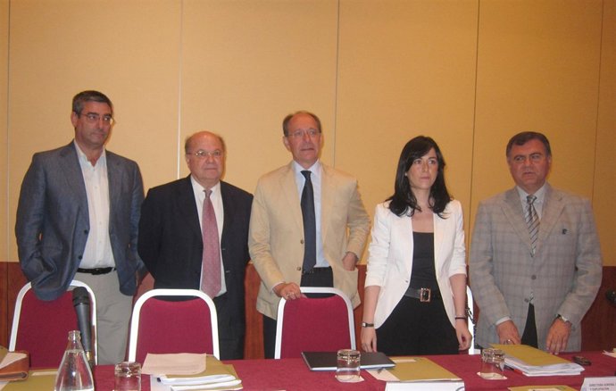 Díaz Trillo, En La Presentación De Los Planes