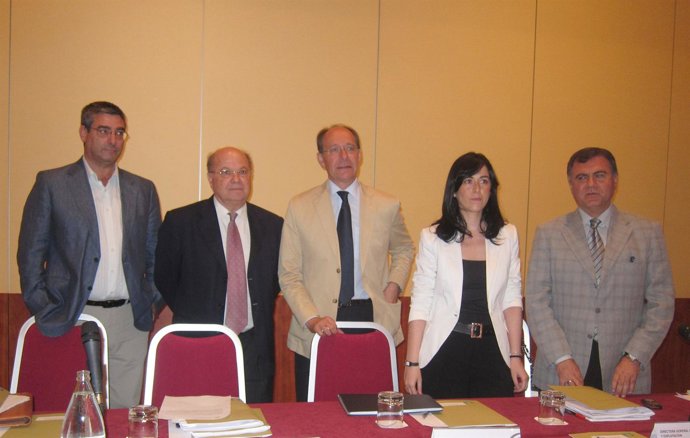 Díaz Trillo, En La Presentación De Los Planes