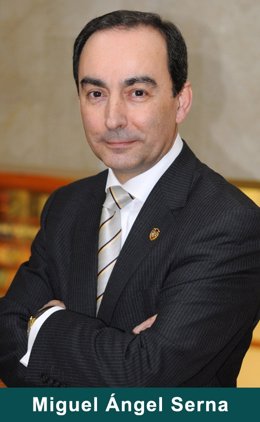 Miguel Ángel Serna, Consejero De Educación