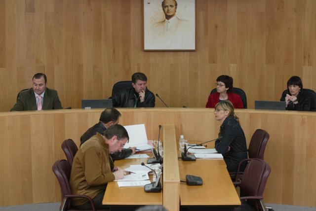 Pleno de la Diputación provincial
