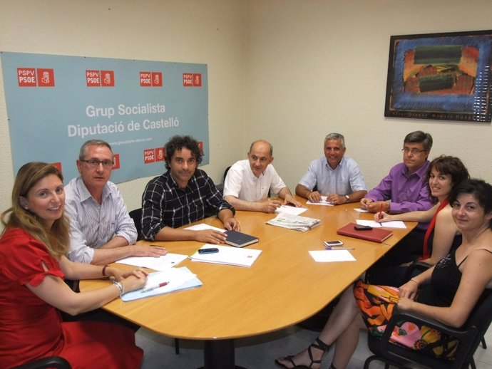 Diputados Provinciales Del PSPV De Castellón