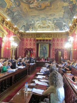 Pleno Del Ayuntamiento De Madrid