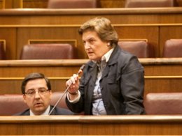 Carlos Salvador Y Sagrario Guinduláin, Diputados De UPN En El Pleno Del Congreso