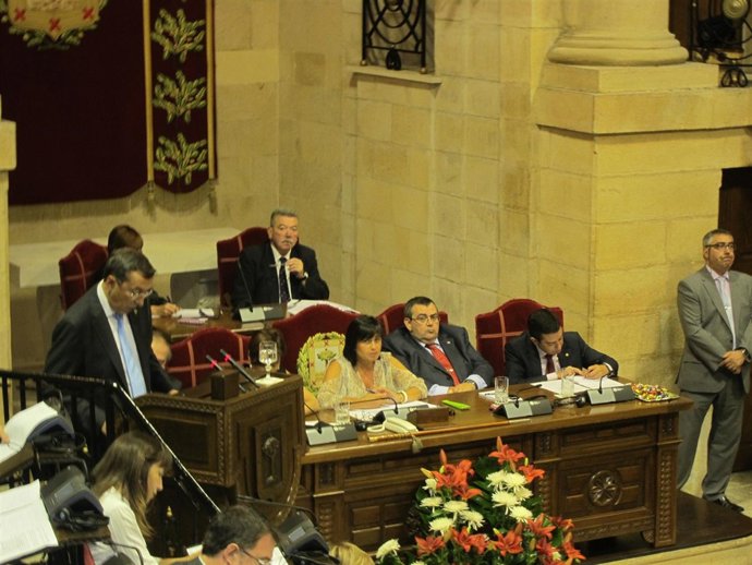 Imagen Del Pleno En Juntas Generales