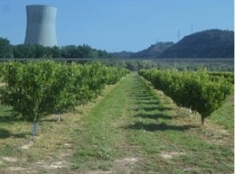 Fincas De La Central De Ascó