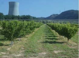 Fincas De La Central De Ascó