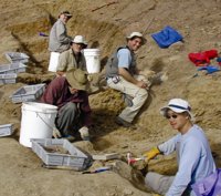 Los ojos fósiles muestran un rápido desarrollo de la visión de los animales en el Cámbrico