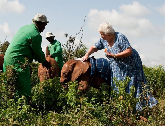 Nueva Película En L'hemisfèric Sobre La Conservación Del Mundo Animal En Kenia