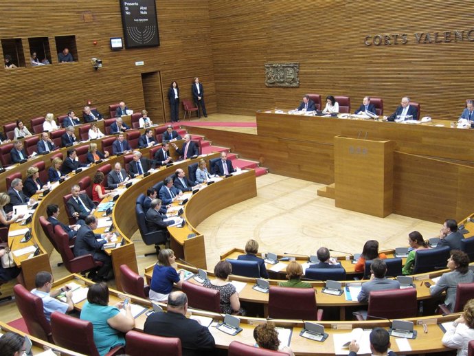 Pleno De Designación De Senadores Territoriales