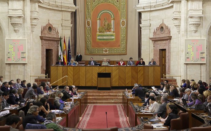 Pleno Del Parlamento Andaluz